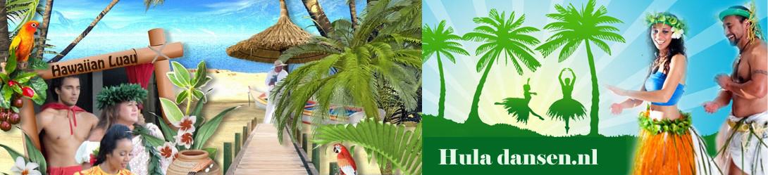 Hula beachfeest